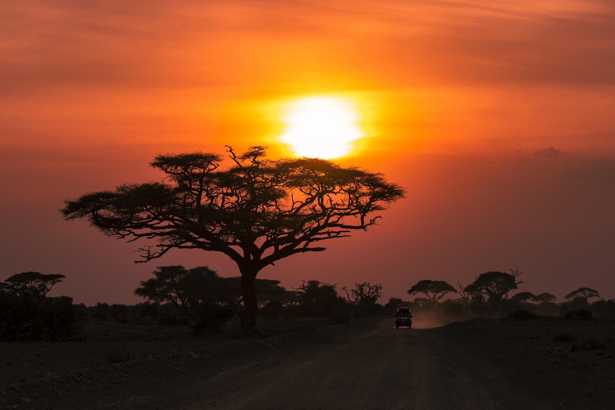 Safaris & Game Drives